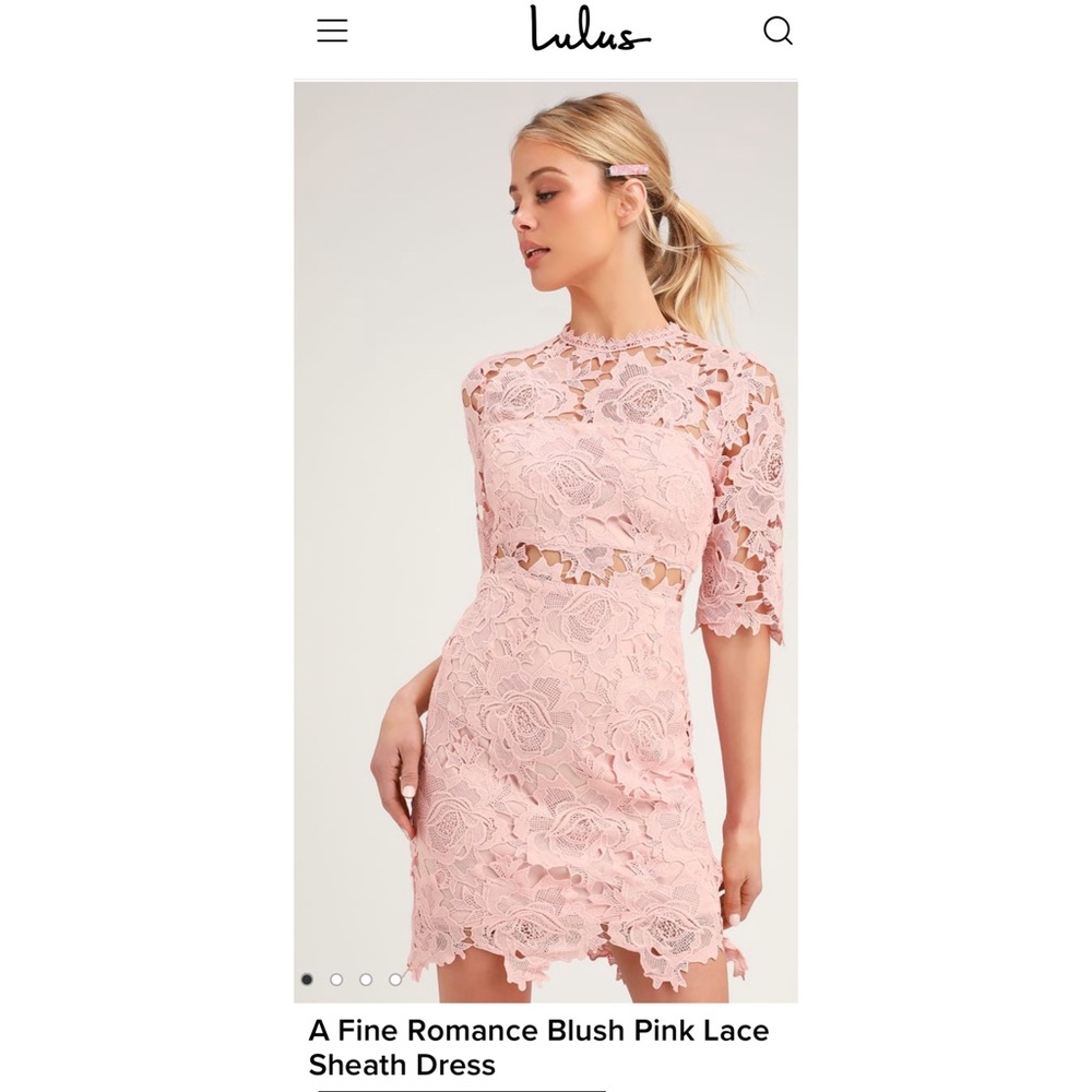 Blush Pink Romantic Lace Stealth Dress